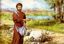 Hạt giống (Thứ Tư Tuần 3 Thường niên)