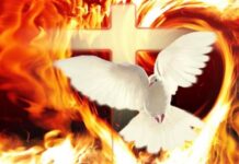 Phân định Thần khí trong đời tu – (Bài 2)