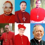 Việt Nam và sáu vị Hồng y