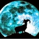 Hình tượng con Dê trong văn hóa