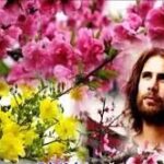 Mùa Chay và Mùa Xuân