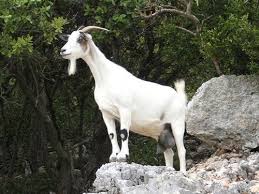 de
