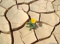 Giá trị của nghịch cảnh