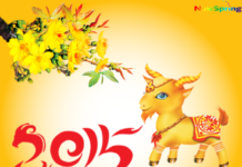 Niềm tin cho một năm mới thành công