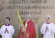 Đức Thánh Cha chủ sự Lễ Lá khai mạc Tuần Thánh 2015