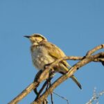 Bài học về “món nợ”