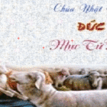 Chúa Kitô là Mục Tử Nhân Lành hiến mạng sống mình cho đoàn chiên