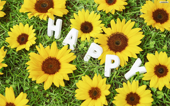 happy