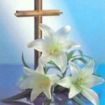 Alleluia – Hãy Chúc Tụng Chúa