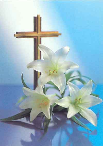 liliesandcross