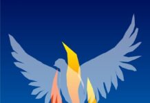 Phân định thần khí trong đời tu – (Bài 4)