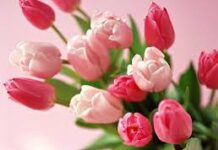 Trân trọng những gì đang có