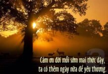 Hạnh phúc chính là con đường ta đang đi