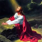 Kinh Mân Côi với Đời Dâng Hiến – Mầu Nhiệm Thương (1): Một nỗi cô đơn