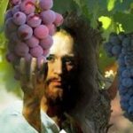 Đơm hoa kết trái vì Nước Trời