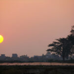 Tiếng ta lang thang