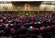 Đức Thánh Cha phê chuẩn các đại biểu Thượng HĐGM 14