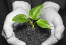 Gieo nhân nào gặt quả nấy