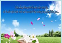 Làm Thế Nào Để Tìm Được Mục Đích Của Cuộc Sống