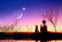 Điều Tôi Muốn Biết Nơi Bạn