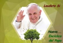 Thông điệp ‘Laudato Si’ về Môi trường: Những nét đặc trưng