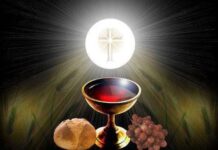 Thuốc Trường Sinh