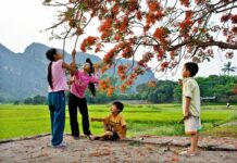 Ai lấy mất mùa hè của con?