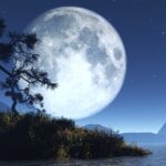 Tạo vật – Thụ tạo