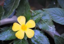 Hãy thử một cách khác