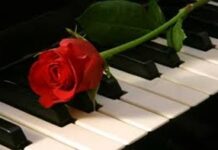 Nếu không có tình yêu,…