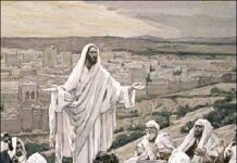 Mắt thấy tai nghe (Thứ Năm tuần 16 Thường niên)