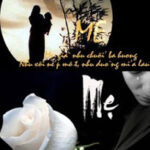 Sắc HỒNG Màu TRẮNG