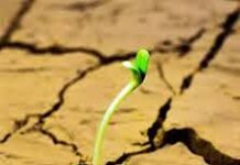 Giá Trị Của Thử Thách