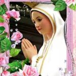 Tháng Mân Côi và những Bông Hồng Ngoại