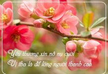 Phép mầu yêu thương