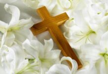 Phúc Thay! – Theo Dòng Thời Gian