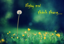 Bao nhiêu cái ngày mai đã biến mất trong đời