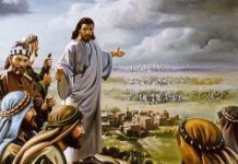 Vì Tình Yêu (Lễ Thánh Phanxicô Xavier)