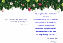 Thiệp chúc mừng Giáng sinh của Hội dòng Mến Thánh Giá Thủ Đức