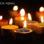 Đang yêu là tỉnh thức