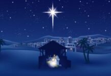 Ngôi Sao Dẫn Đường