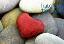 Viên Đá Quan Trọng