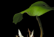 Biết ngỡ ngàng để hướng đến điều thiện & chân lý cao đẹp!