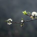 Chút suy tư cuối năm