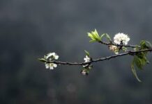 Chút suy tư cuối năm