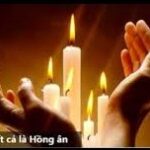 Tất Cả Là Hồng Ân