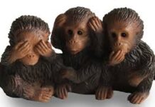 Triết Lý với… Khỉ