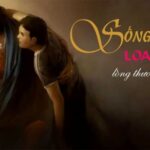 Giáo Hội – nơi mọi người gặp được lòng thương xót