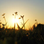 Đời sống chỉ là hơi thở