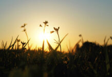 Cuộc đời này có bấy nhiêu lâu